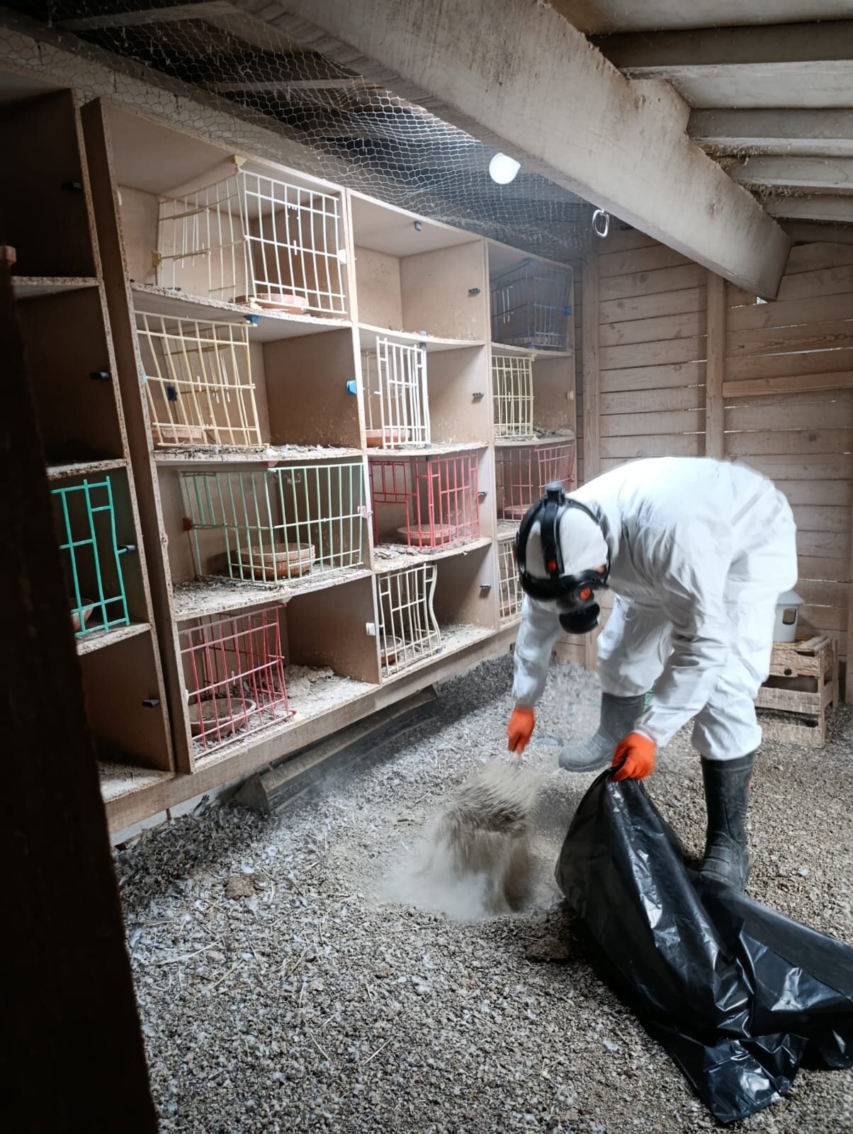 WhatsApp-Image-2025-03-18-at-15.58.09 (1).jpeg