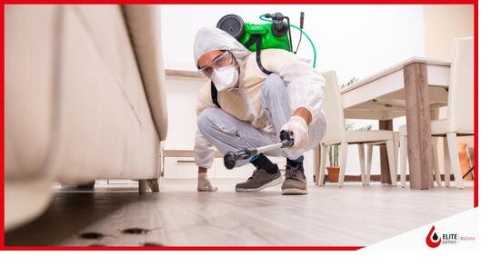 322680572_23853515194130347_1430073119199643998_n (2).jpg