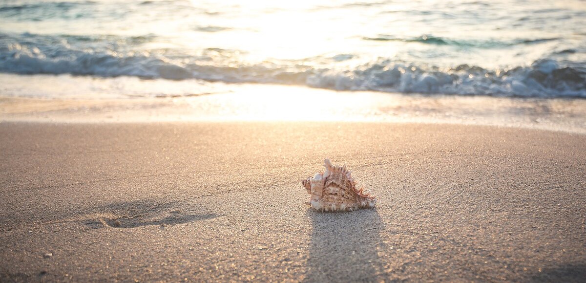 beach-4301479_1280_2.jpg